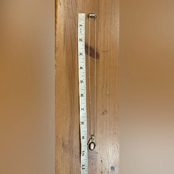 Colman company for Black Hills. Vintage 18”’inch chain ad pendant - Picture 9 of 9